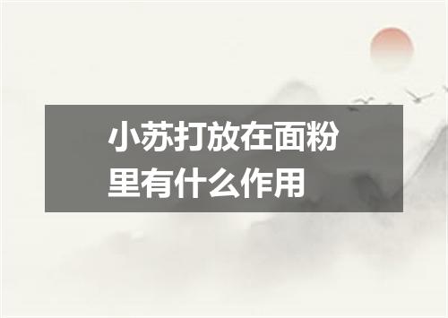 小苏打放在面粉里有什么作用