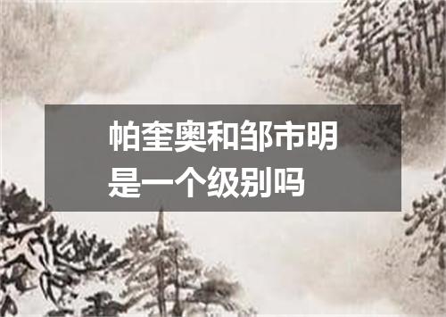 帕奎奥和邹市明是一个级别吗