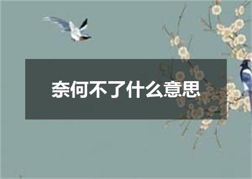 奈何不了什么意思