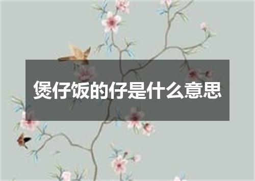 煲仔饭的仔是什么意思