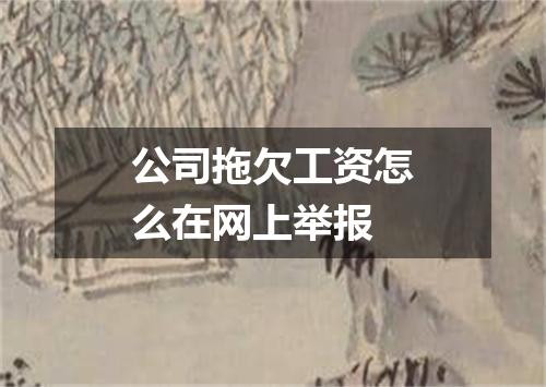 公司拖欠工资怎么在网上举报