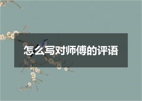 怎么写对师傅的评语