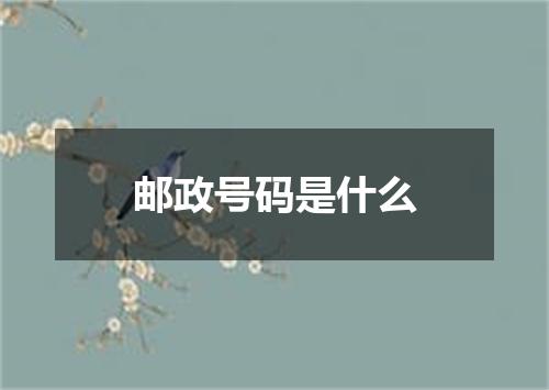 邮政号码是什么