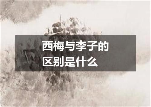 西梅与李子的区别是什么