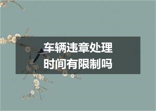 车辆违章处理时间有限制吗