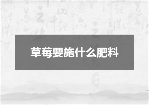 草莓要施什么肥料