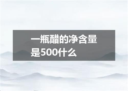 一瓶醋的净含量是500什么
