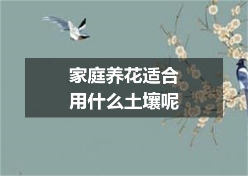 家庭养花适合用什么土壤呢