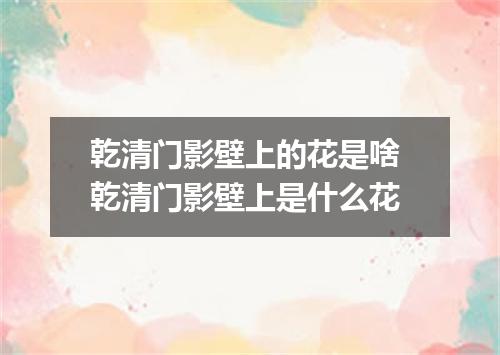 乾清门影壁上的花是啥 乾清门影壁上是什么花