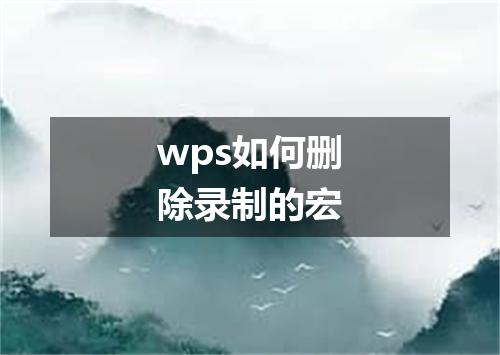 wps如何删除录制的宏