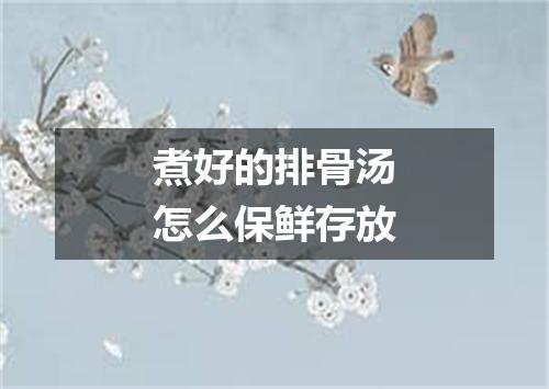 煮好的排骨汤怎么保鲜存放