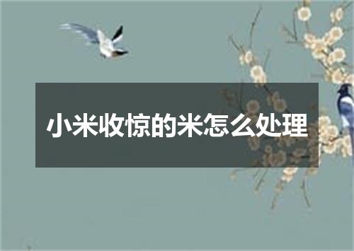 小米收惊的米怎么处理