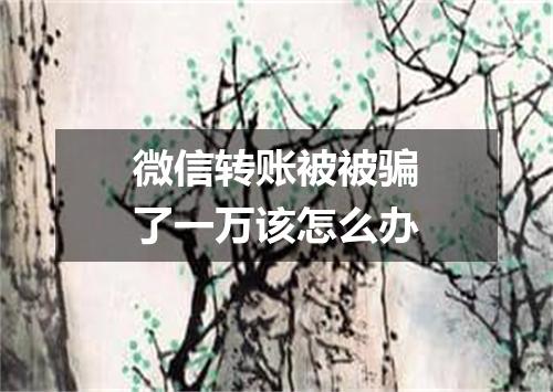 微信转账被被骗了一万该怎么办