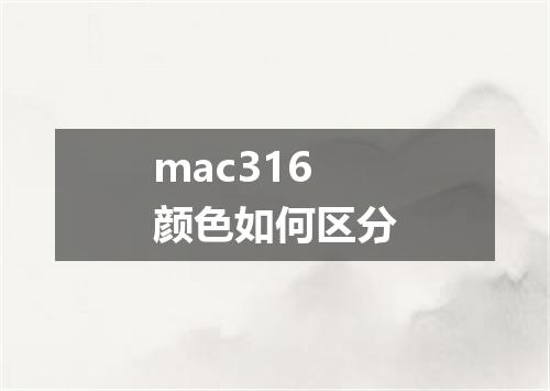 mac316颜色如何区分