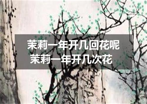 茉莉一年开几回花呢 茉莉一年开几次花