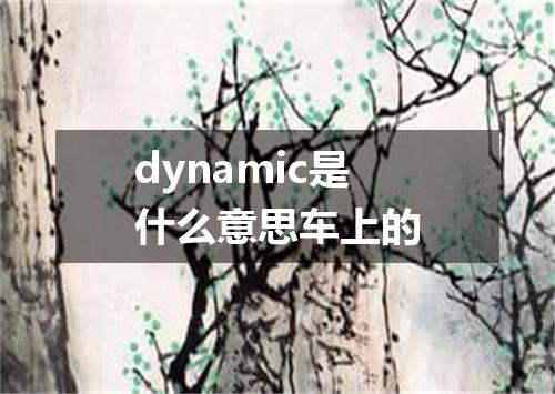 dynamic是什么意思车上的