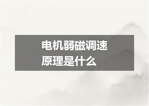 电机弱磁调速原理是什么