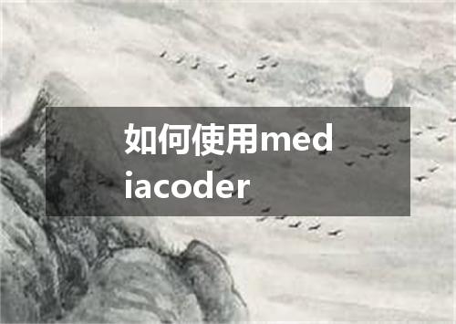 如何使用mediacoder