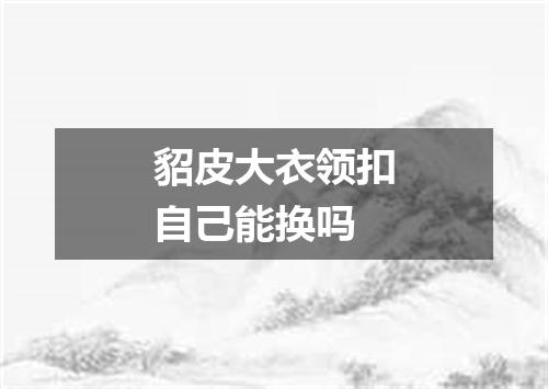 貂皮大衣领扣自己能换吗