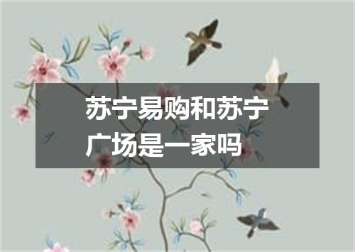 苏宁易购和苏宁广场是一家吗