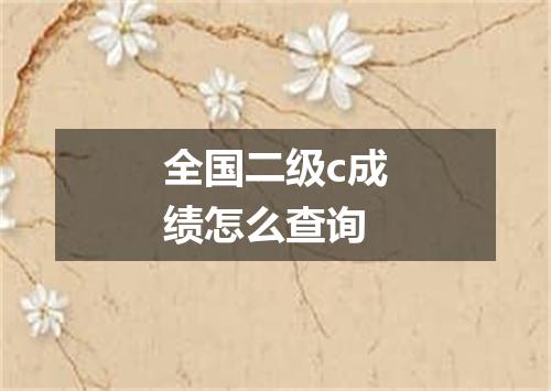 全国二级c成绩怎么查询