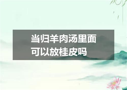当归羊肉汤里面可以放桂皮吗