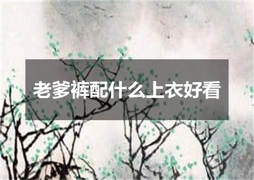 老爹裤配什么上衣好看