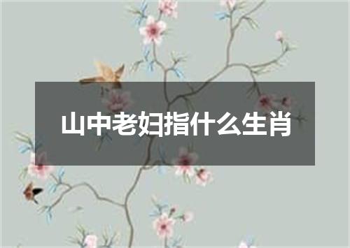 山中老妇指什么生肖
