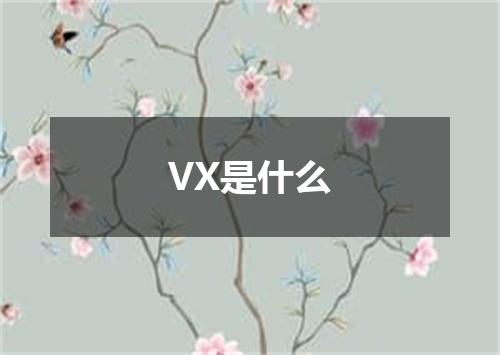VX是什么