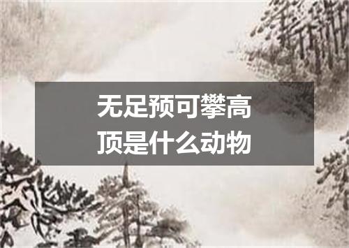 无足预可攀高顶是什么动物