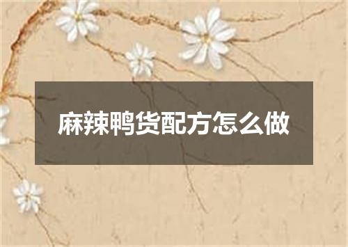 麻辣鸭货配方怎么做