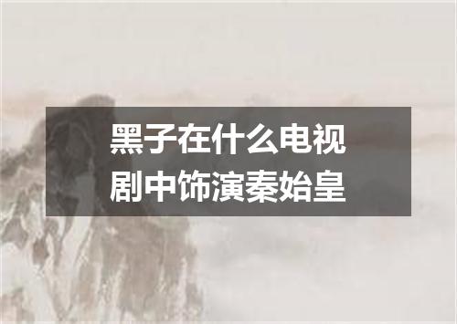 黑子在什么电视剧中饰演秦始皇