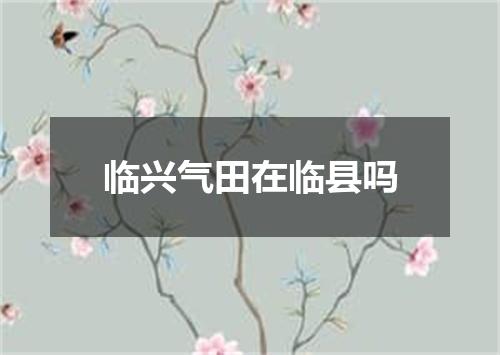 临兴气田在临县吗