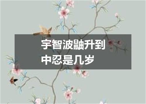 宇智波鼬升到中忍是几岁