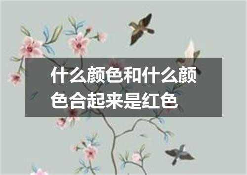什么颜色和什么颜色合起来是红色