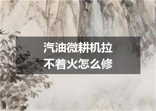 汽油微耕机拉不着火怎么修