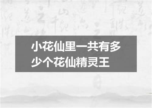 小花仙里一共有多少个花仙精灵王