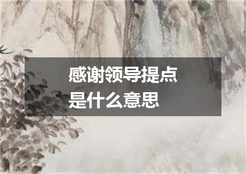 感谢领导提点是什么意思