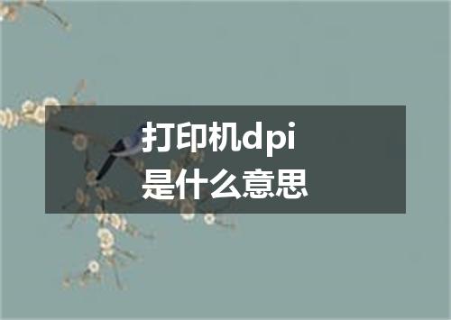 打印机dpi是什么意思
