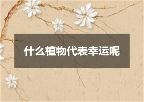 什么植物代表幸运呢