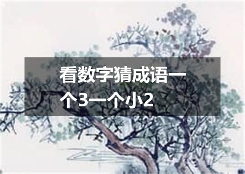 看数字猜成语一个3一个小2