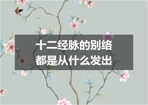 十二经脉的别络都是从什么发出
