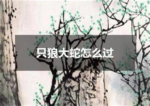 只狼大蛇怎么过