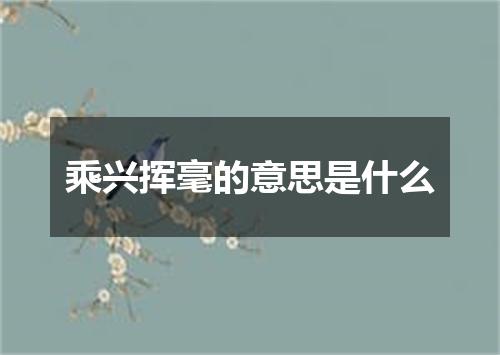 乘兴挥毫的意思是什么