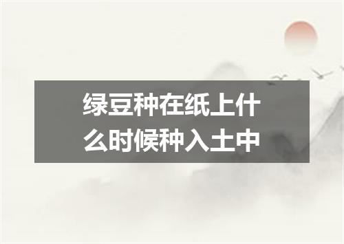 绿豆种在纸上什么时候种入土中