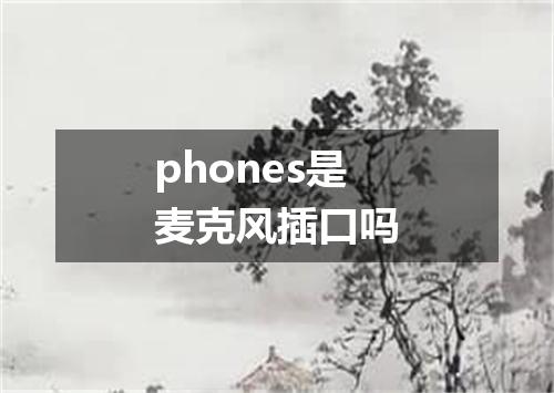 phones是麦克风插口吗