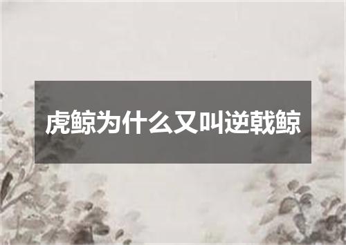 虎鲸为什么又叫逆戟鲸