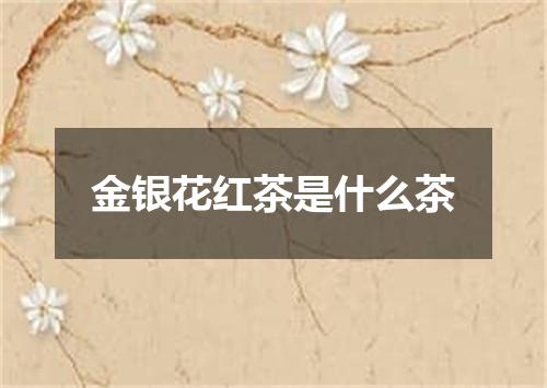 金银花红茶是什么茶