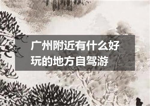 广州附近有什么好玩的地方自驾游
