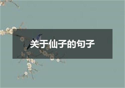 关于仙子的句子